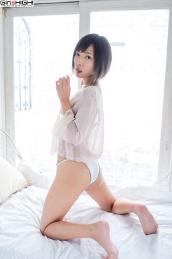 新点软件